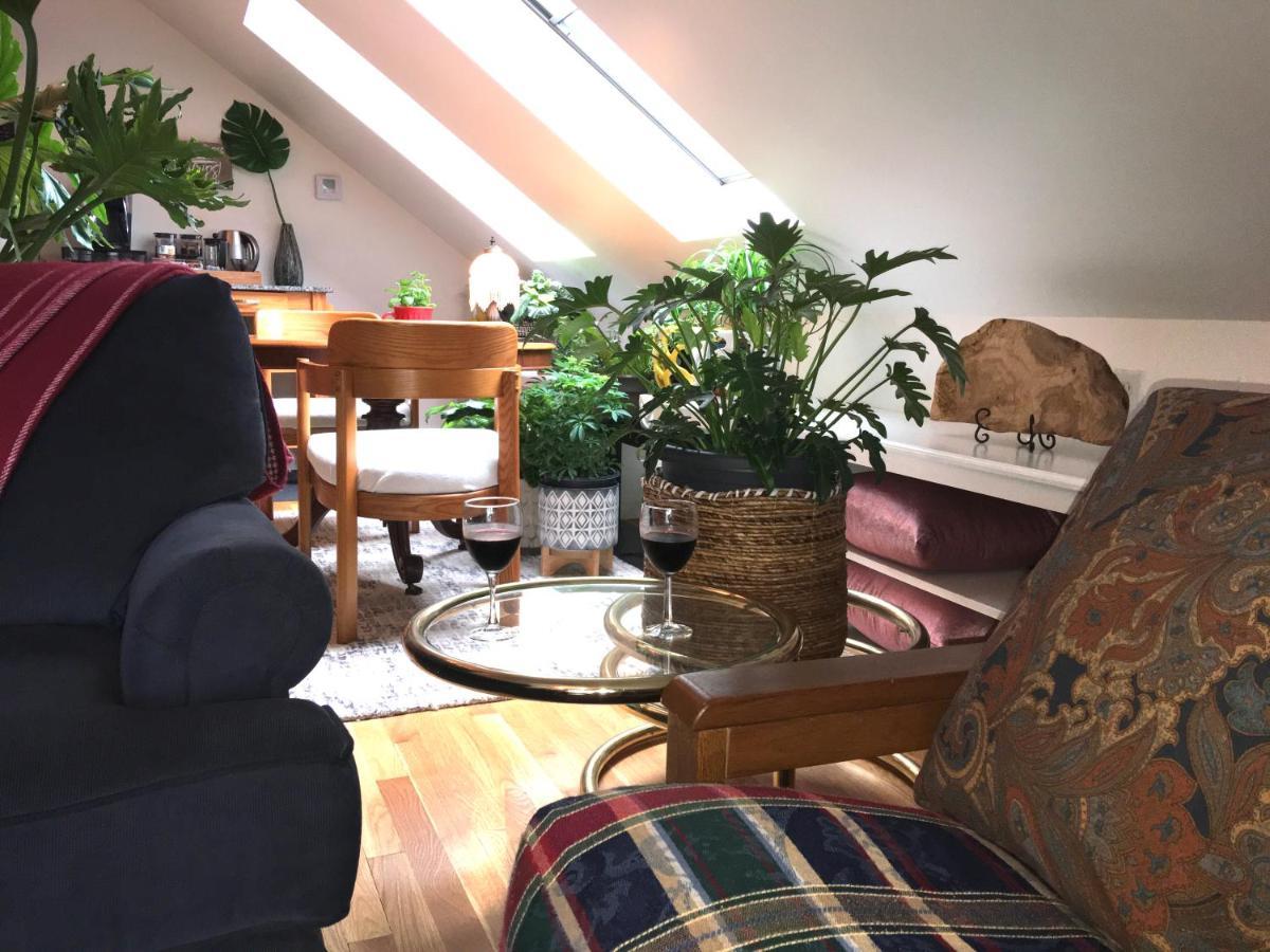 Urban Oasis In Hope Village 普罗维登斯 外观 照片