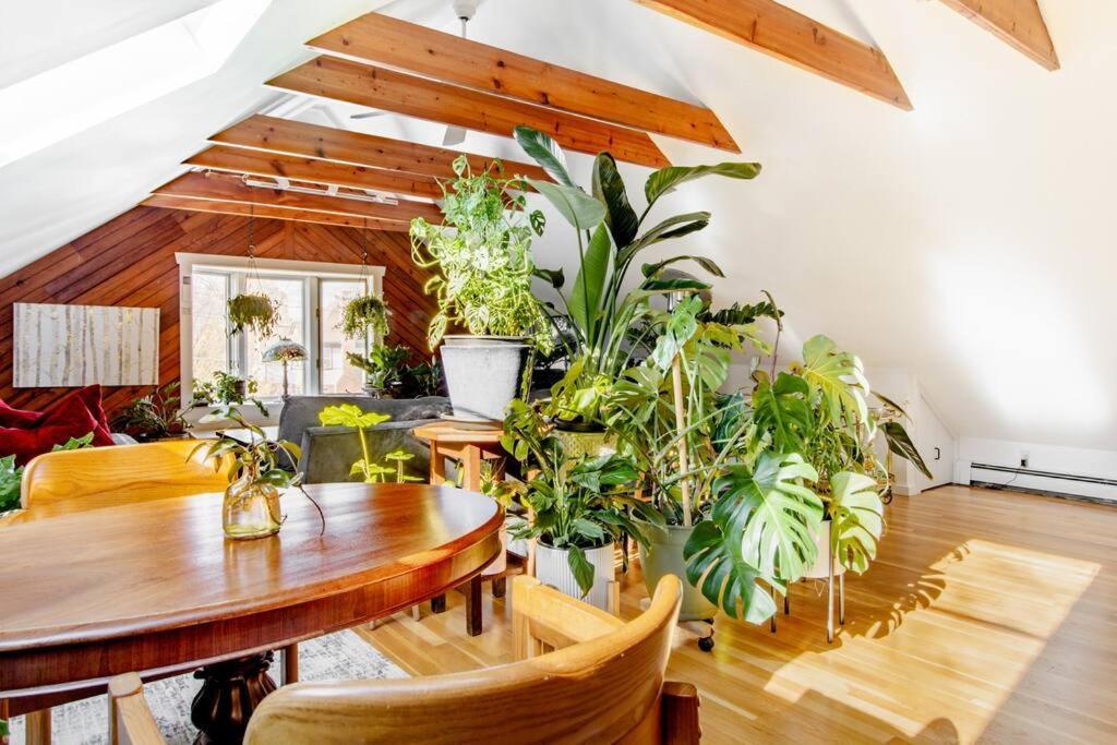 Urban Oasis In Hope Village 普罗维登斯 外观 照片