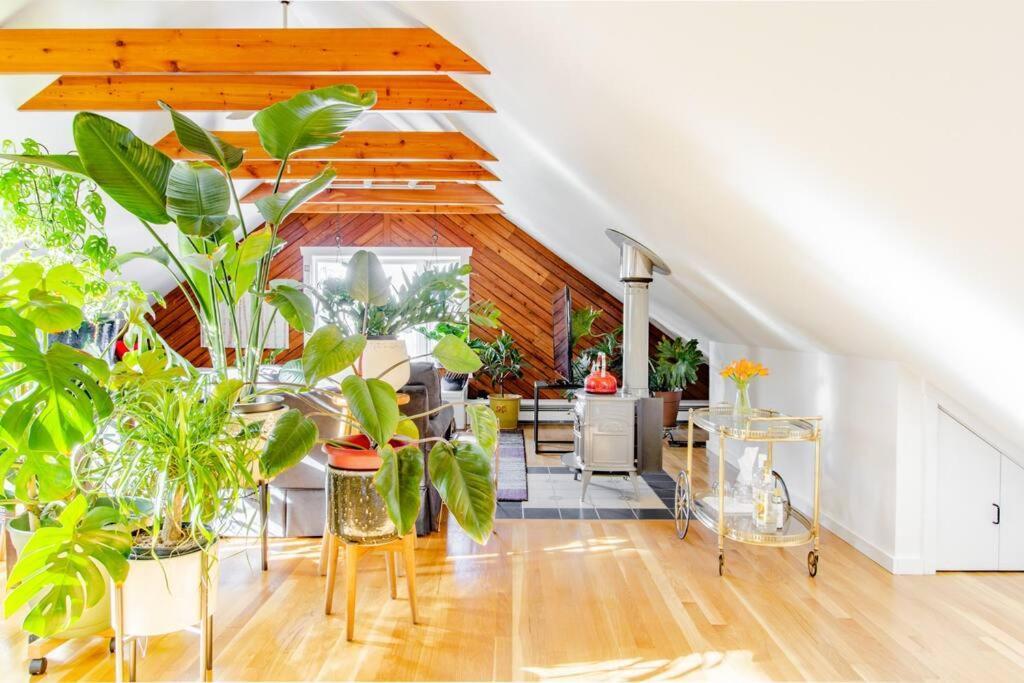 Urban Oasis In Hope Village 普罗维登斯 外观 照片