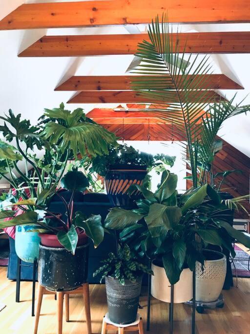 Urban Oasis In Hope Village 普罗维登斯 外观 照片