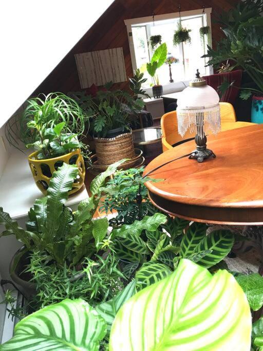 Urban Oasis In Hope Village 普罗维登斯 外观 照片