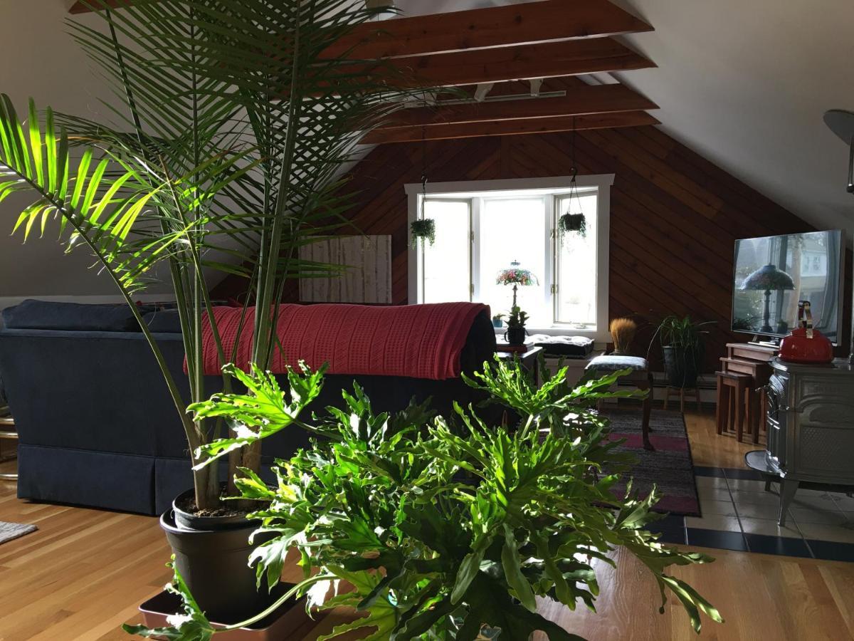 Urban Oasis In Hope Village 普罗维登斯 外观 照片