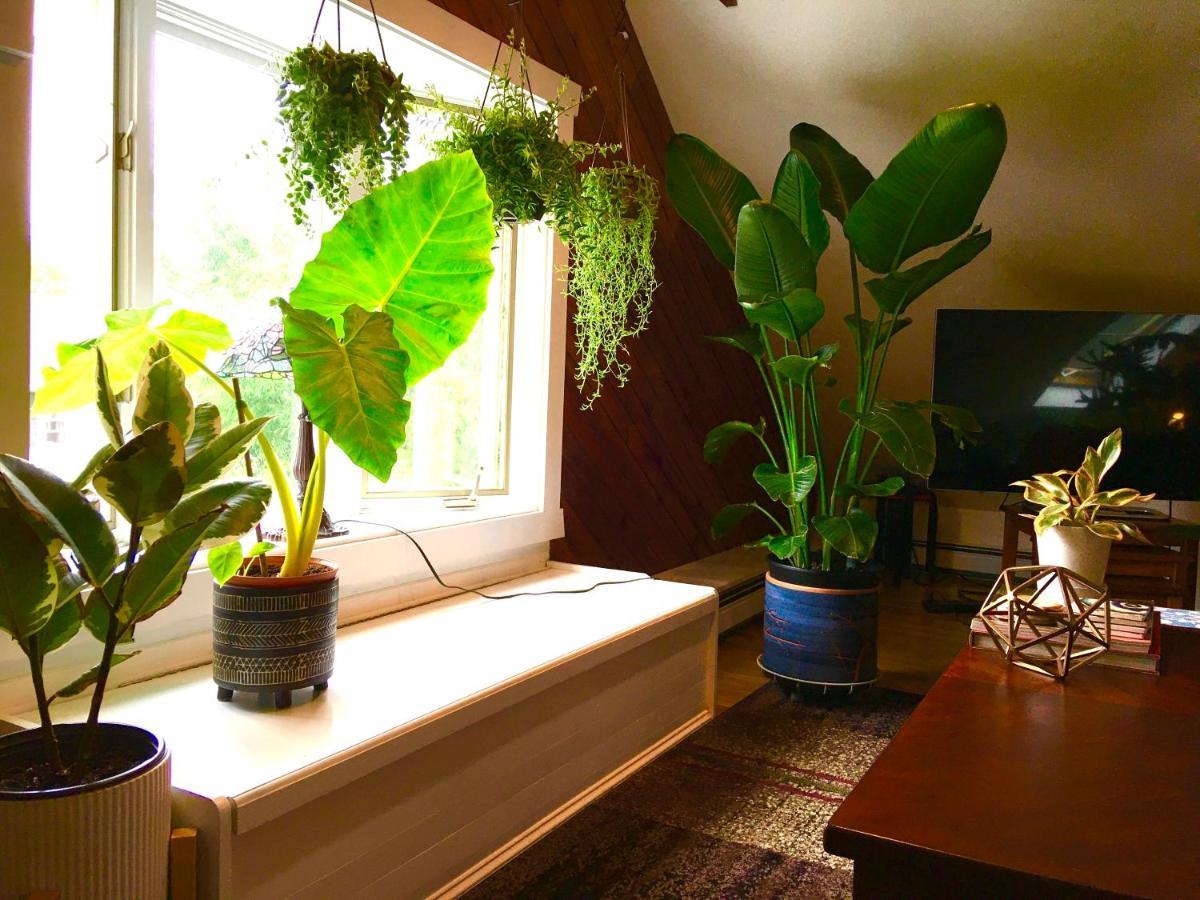 Urban Oasis In Hope Village 普罗维登斯 外观 照片